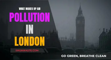 London's Air Pollution: What's in the Air?