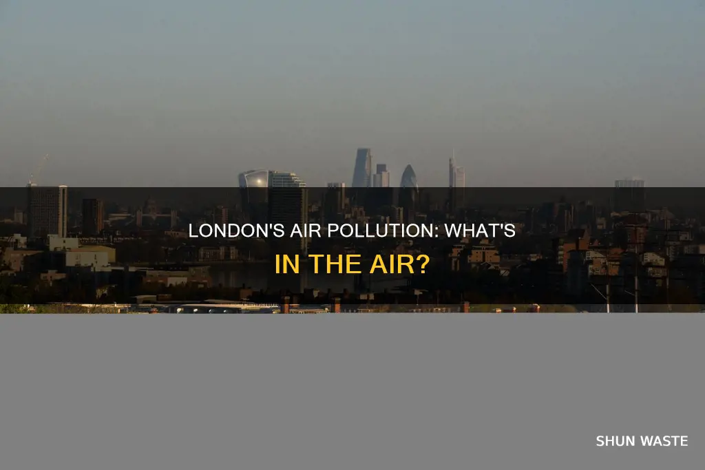 what makes up air pollution in london