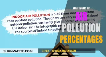 Air Pollution: Understanding the Compositional Breakdown