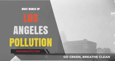 Understanding LA's Pollution: Sources and Solutions