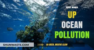 The Ocean's Plight: Understanding Marine Pollution Sources
