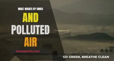 Air Pollution: What's in Smog?