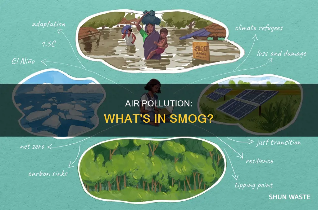 what makes up smog and polluted air