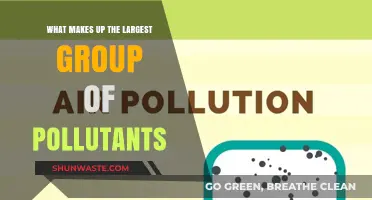 Understanding the Main Sources of Environmental Pollution