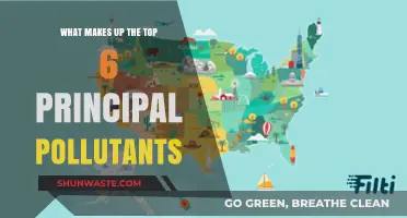 Principal Pollutants: Understanding the Top Six Offenders