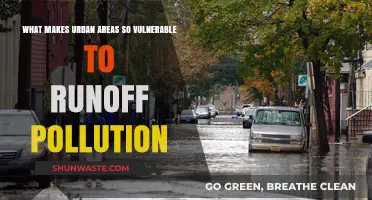 Runoff Pollution: Urban Areas' Vulnerability Explained