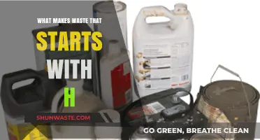 Harmful Household Habits: Hidden Hazards in Waste Starting with H