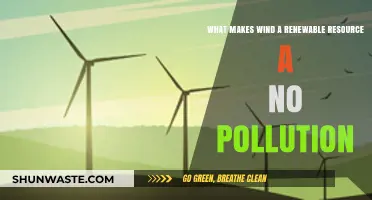 Wind Energy: Clean, Green, and Infinite
