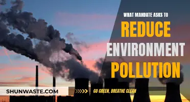 Mandate for Change: Reducing Environmental Pollution