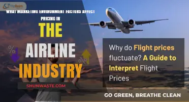 Key Marketing Environment Factors Influencing Airline Industry Pricing Strategies