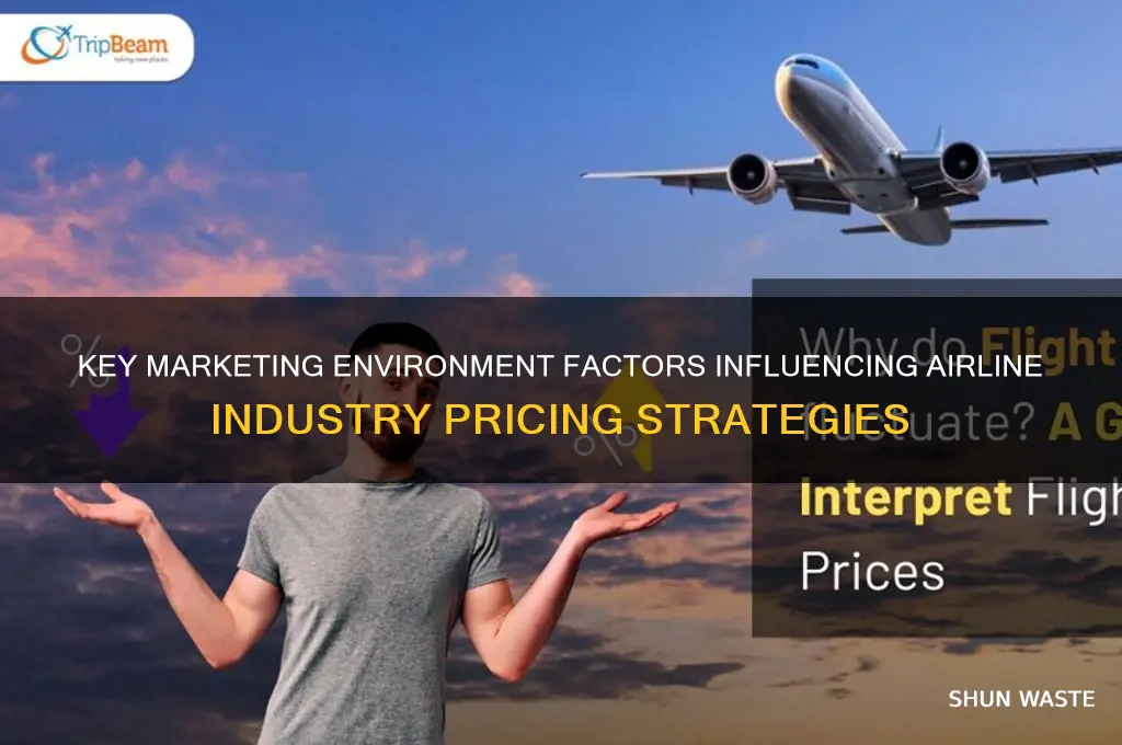 what marketing environment factors affect pricing in the airline industry