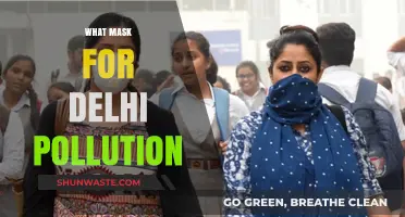 Delhi Pollution: Choosing the Right Mask