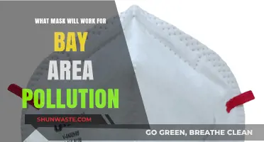 Bay Area Pollution: Which Masks Are Effective?