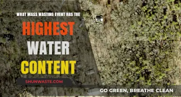 Debris Flows: The Water-Richest Mass Wasting Events Explained