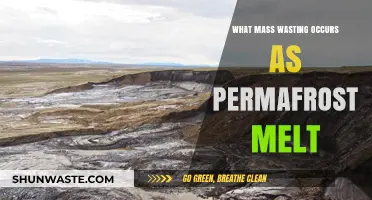 Permafrost Thaw Triggers Mass Wasting: Understanding the Consequences