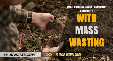 Unraveling the Role of Loose Soil in Mass Wasting Events