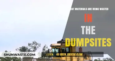 Unveiling the Hidden Waste: Materials Lost in Dumpsites