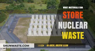 Safeguarding the Future: Exploring Materials for Nuclear Waste Storage