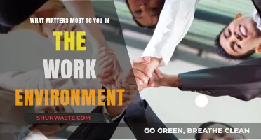 Cultivating a Positive Work Environment: Prioritizing Values for Success and Fulfillment