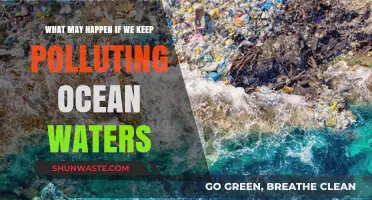 Ocean Pollution: Our Actions, Their Consequences