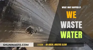 The Devastating Consequences of Water Waste: A Global Crisis Looms