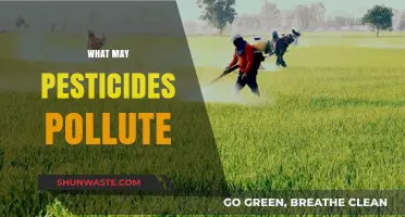 Pesticides: What Pollutes Our Environment and Health?