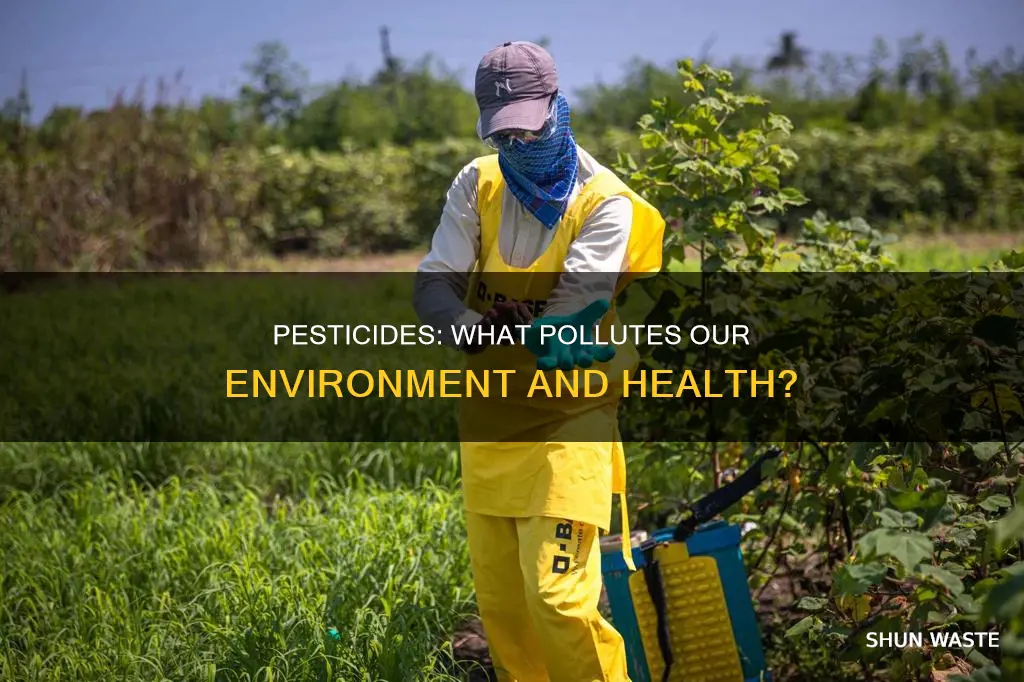 what may pesticides pollute