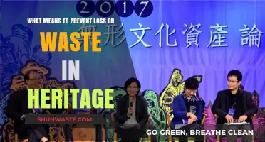 Preserving Heritage: Strategies to Prevent Loss and Waste Effectively