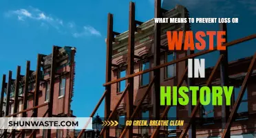 Preserving the Past: Strategies to Prevent Historical Loss and Waste