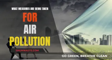 Air Pollution: Measures Taken for Cleaner Skies