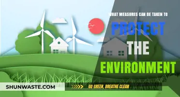 Sustainable Steps: Practical Measures to Safeguard Our Environment Effectively