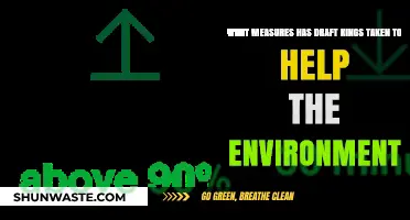 Draft Kings' Eco-Friendly Initiatives: Sustainable Steps for a Greener Future