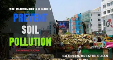 Preventing Soil Pollution: Measures for a Healthy Earth