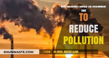 Government Initiatives to Combat Pollution
