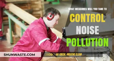 Strategies to Reduce Noise Pollution Effectively