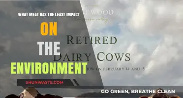 Eco-Friendly Eating: Discover the Most Sustainable Meat Choices