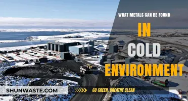 Metals in Cold Climates: Discovering Arctic and Antarctic Deposits