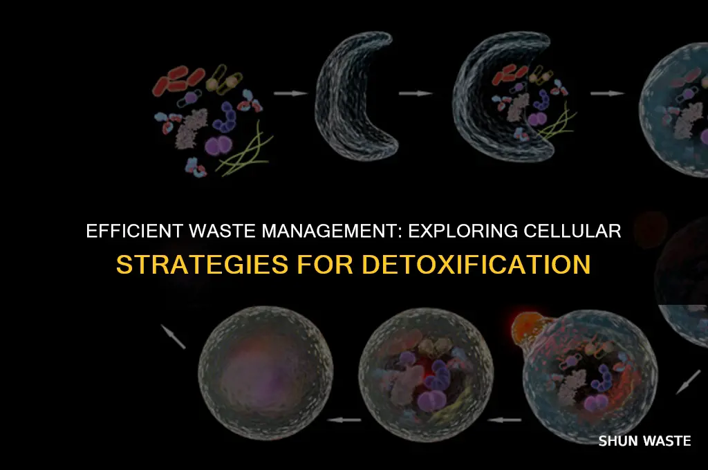 what methods can cells use to move waste