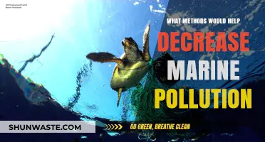 Strategies to Reduce Marine Pollution and Protect Oceans