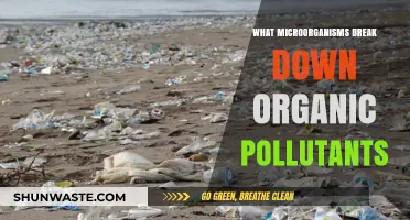 Microorganisms: Nature's Organic Pollutant Busters