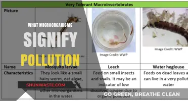 Microorganisms: Pollution's Unseen Signposts