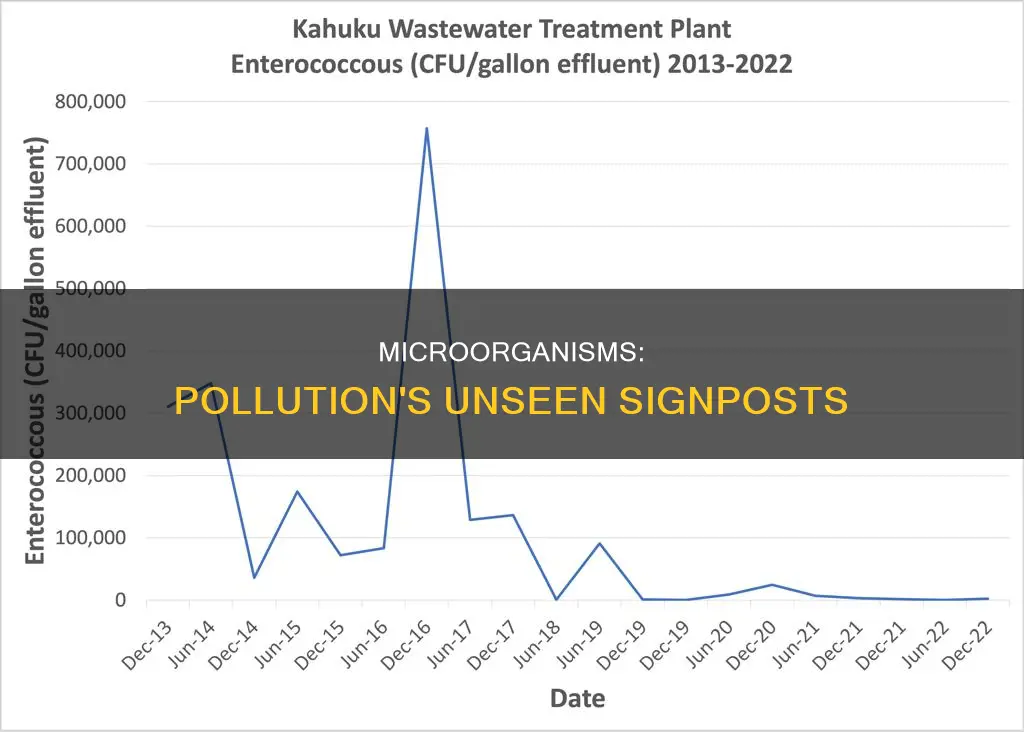 what microorganisms signify pollution