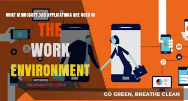 Essential Microsoft 365 Applications for Workplace Productivity and Collaboration