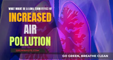 Air Pollution's Lingering Impact: A Health Hazard