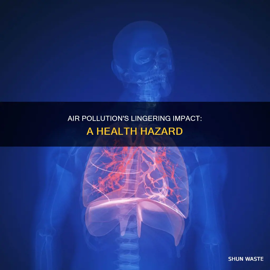 what might be a long-term effect of increased air pollution