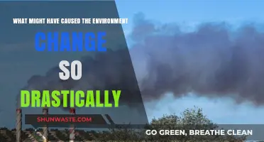 Unraveling the Drastic Environmental Shifts: Key Factors and Human Impact