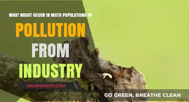 Industrial Pollution: Impact on Moth Populations