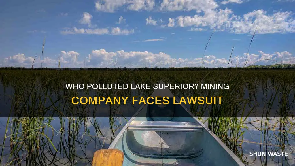 what mining company was sued over polluting lake superior