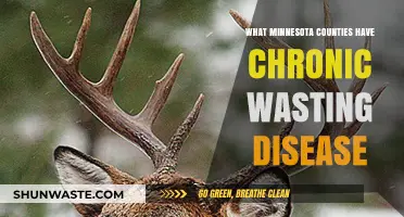 Chronic Wasting Disease: Which Minnesota Counties Are Affected?