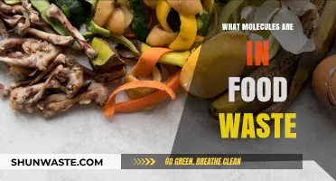 Unveiling the Molecular Secrets Hidden in Food Waste